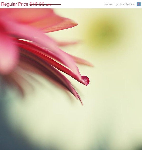 SALE Pink Flower Nature Photograph - nursery macro abstract hot pink fuschia lime green yellow white water drop petal floral 5x5