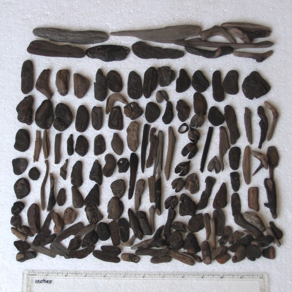 154 Natural Driftwood Small Dark Wood and Bark Art Mosaic and Craft Supplies (1466)