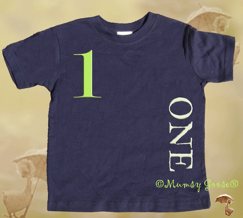 1st Birthday T shirt Boys First Birthday Shirt by Mumsy Goose  One Shirts Any Age Birthday Shirt