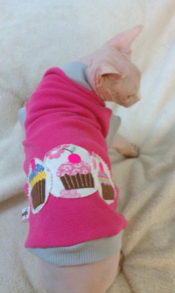 Sphynx T shirt Embellished
