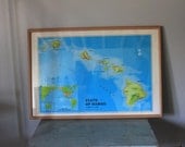 vintage HAWAII map / Framed Map