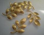 6 small leaf sprays