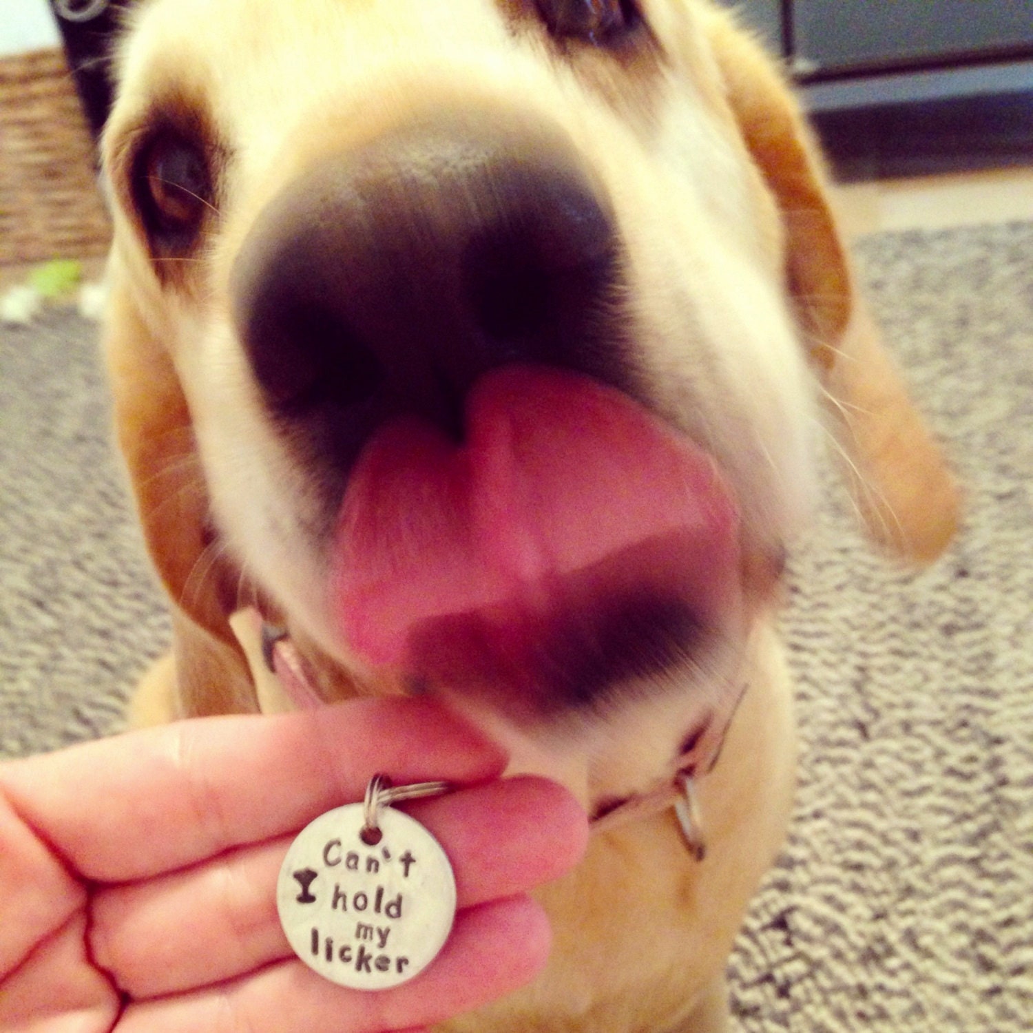 Custom Pet id tag / CAN'T Control my LICKER in amazing ALUMINUM / id info on the back