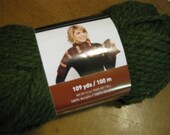 Destash - Supply - Yarn - Skein - Michael's Loops and Threads - Charisma - Forest Green Hunter