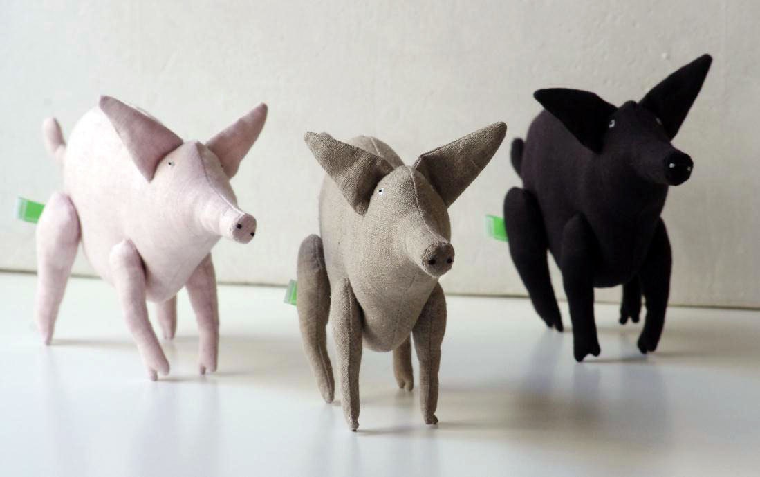 The black pig