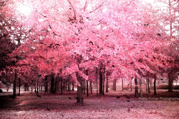 Nature Photography, Photomontage Painted Photograph, Spring Pink Trees Wall Art, Pink Woodland, Fantasy Nature 8" x 12"