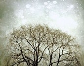 Dark surreal sky tree bokeh fantasy woodland nature home decor silhouette branches - Grey Dusk 8 x 10