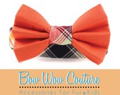 Tangerine Tartan Dog Bow Tie Collar - Tartan in Midnight