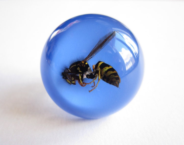 Wasp - Resin ring - Size S