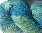 Jackrabbit 4oz hand dyed sock yarn fingering weight, 2ply superwash merino, 114g: Sea Glass 3