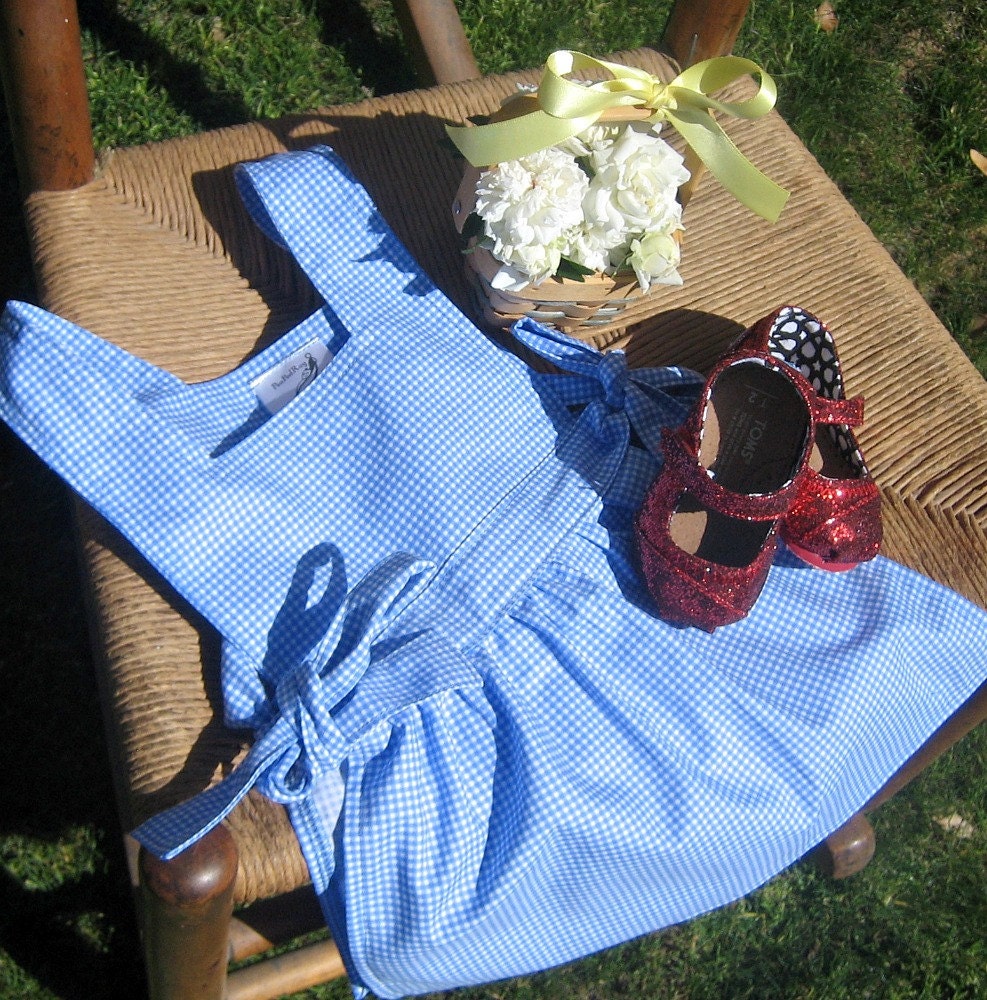 Dorothy Inspired Pinafore Apron Toddler - Size 3T