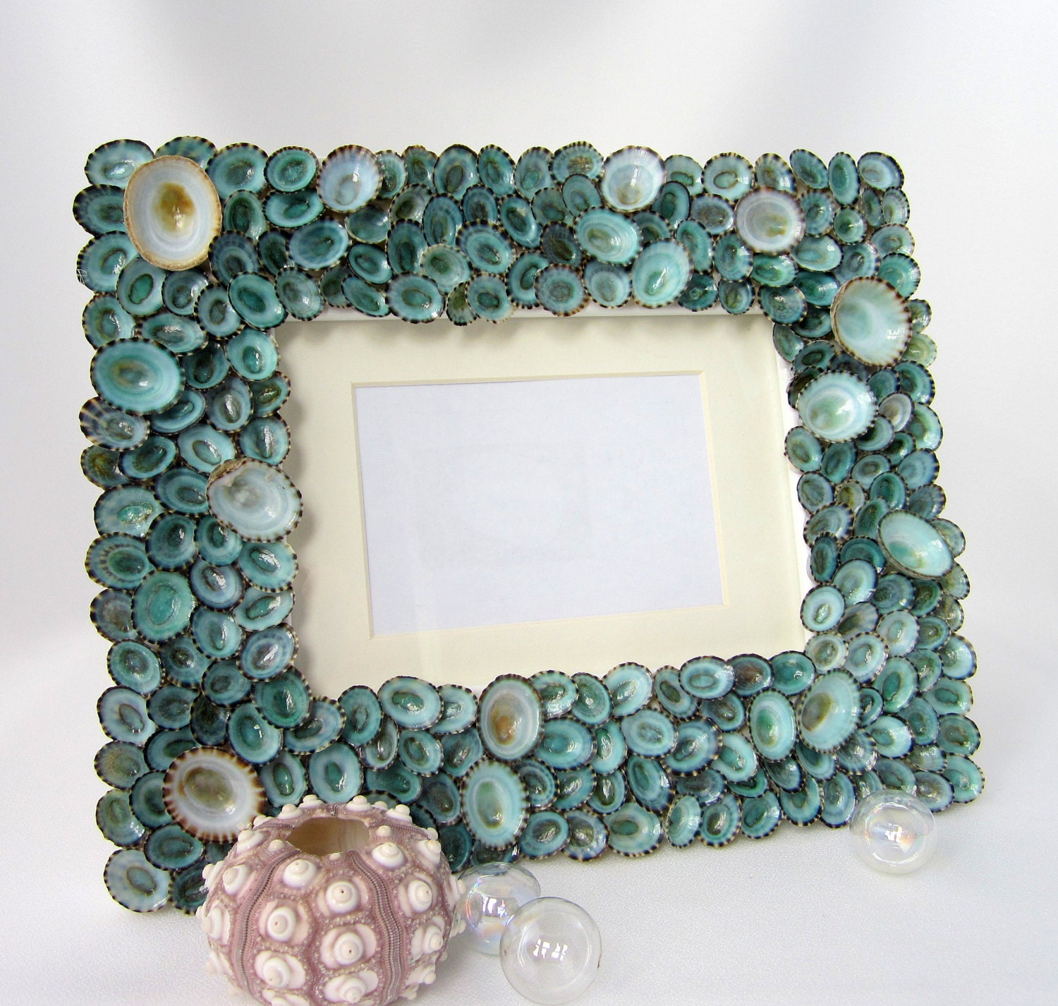 Beach Decor Seashell Frames - Nautical Shell Frame of Aqua Limpets, 5x7