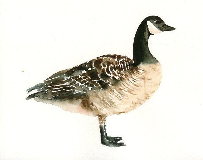 CANADA GOOSE Original watercolor painting 10X8inch