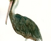 BROWN PELICAN Original watercolor painting 8x10inch (Vertical orientation)