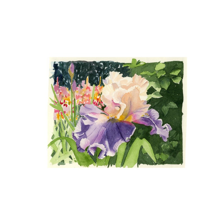 Iris Flower Art - Watercolor Painting Print -  Bearded Iris Painting, Garden Art, Iris Art,  Landscape Art - Purple Peach Green 7.6  x 9.6