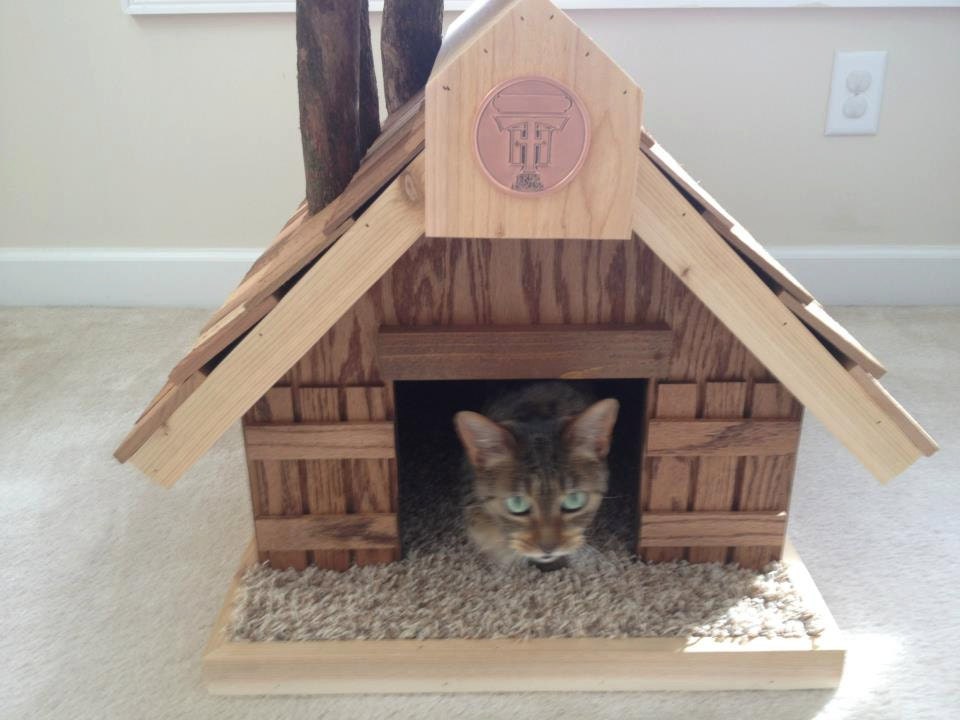 Adult (medium) Cat Tree House