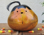 Kitty Cat Gourd Natural Fall Harvest Pumpkin Decoration