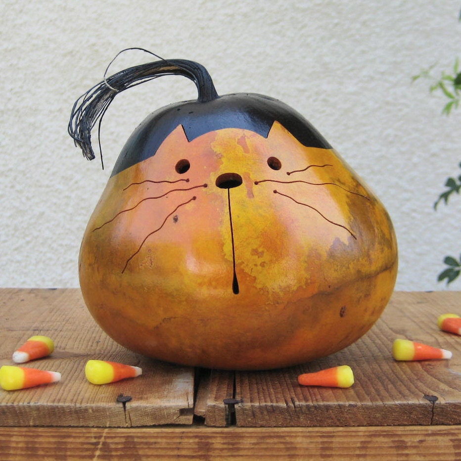 Kitty Cat Gourd Natural Fall Harvest Pumpkin Decoration