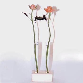 Retro-Accent Test tube vase of eco friendly, reclaimed wood