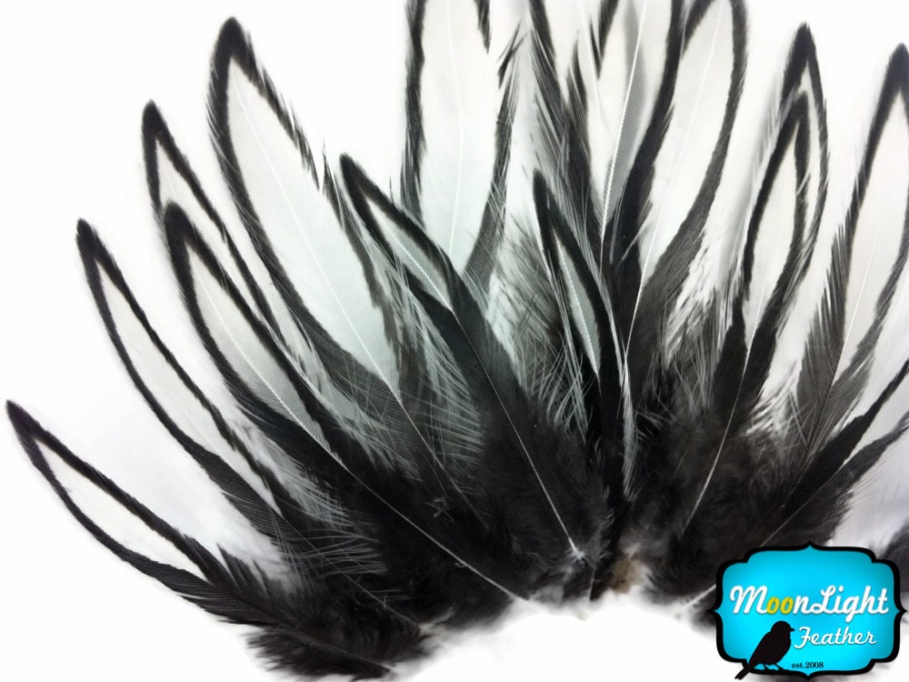 Unique Feathers, 1 Dozen - NATURAL WHITE Laced Hen Cape Feather  : 2189