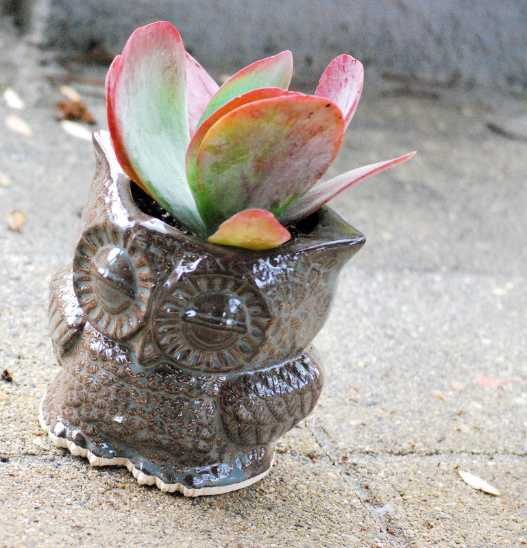 small owl Planter pencil holder desk vase in blue and brown