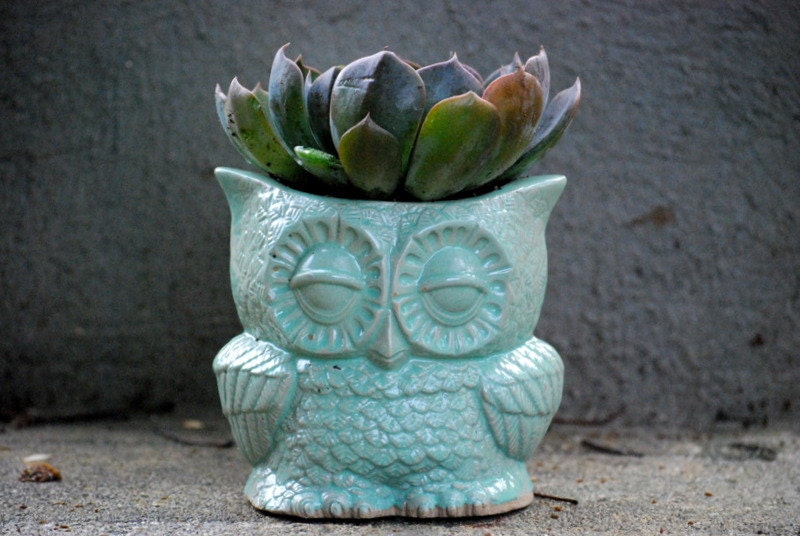 indoor owl Planter pencil holder desk vase in mint  vintage style   home decor