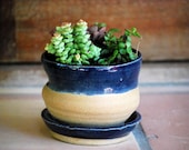 monaco blue home planter with dish