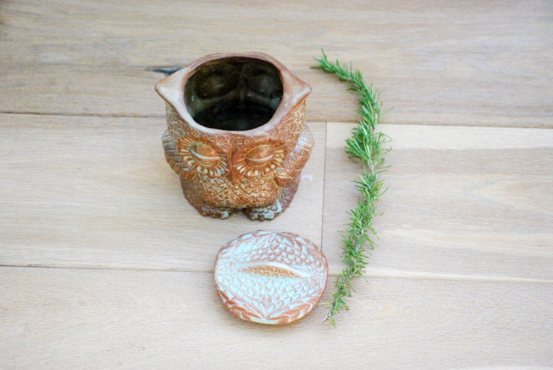 small Owl lidded  jar in rustic pistachio green