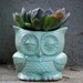 indoor owl Planter pencil holder desk vase in mint  vintage style   home decor