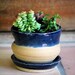 monaco blue home planter with dish