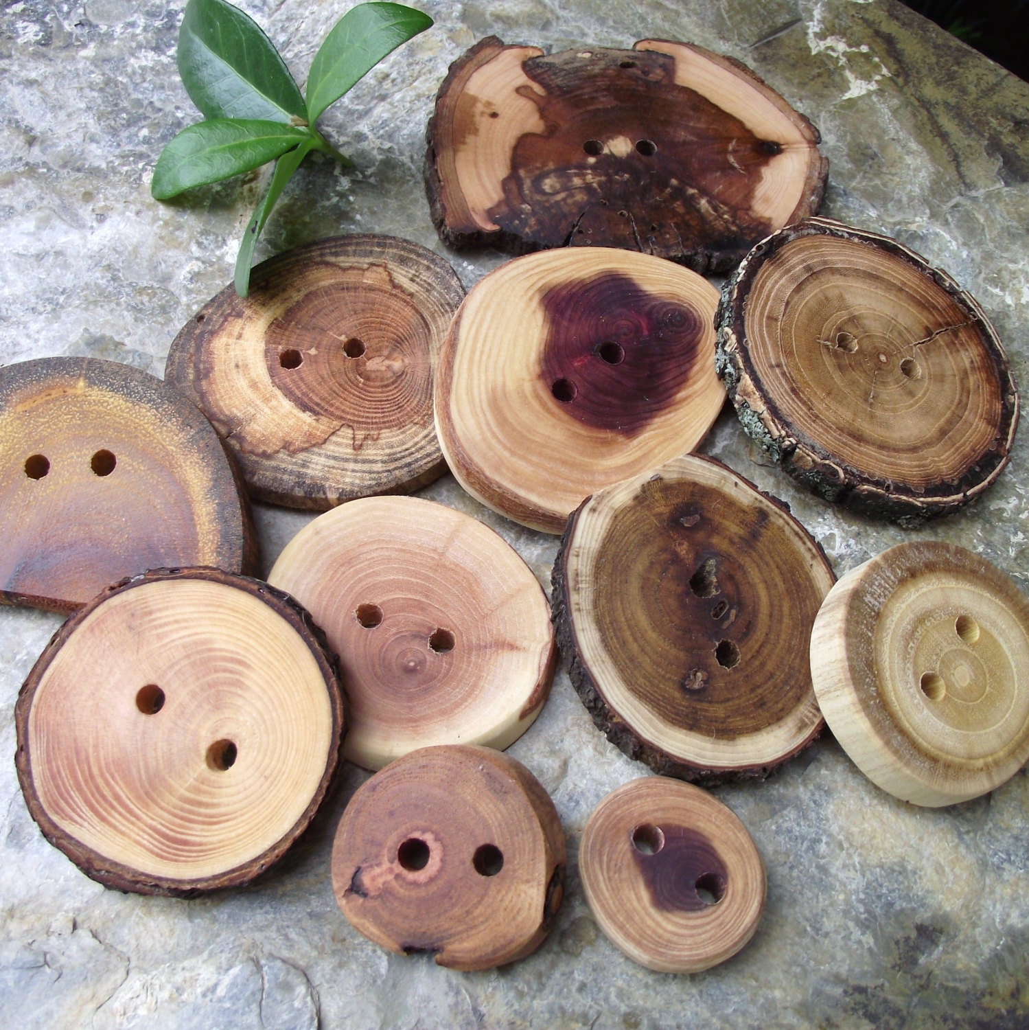 Wood Buttons - Amazing Wooden Ohio Tree Branch Button Assortment - Great for Journals, Pillows, Handbags, Crochet, Knitting and Sewing