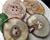 Wood Buttons - 4 Large Wooden Tree Branch Buttons - 2 3/4 inches x 2 3/8 inches, 4 and 2 holes, For Journals, Purses, Knitting, Pillows