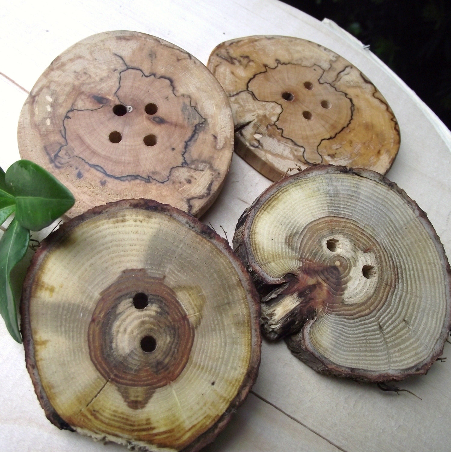 Wood Buttons - 4 Large Wooden Tree Branch Buttons - 2 3/4 inches x 2 3/8 inches, 4 and 2 holes, For Journals, Purses, Knitting, Pillows