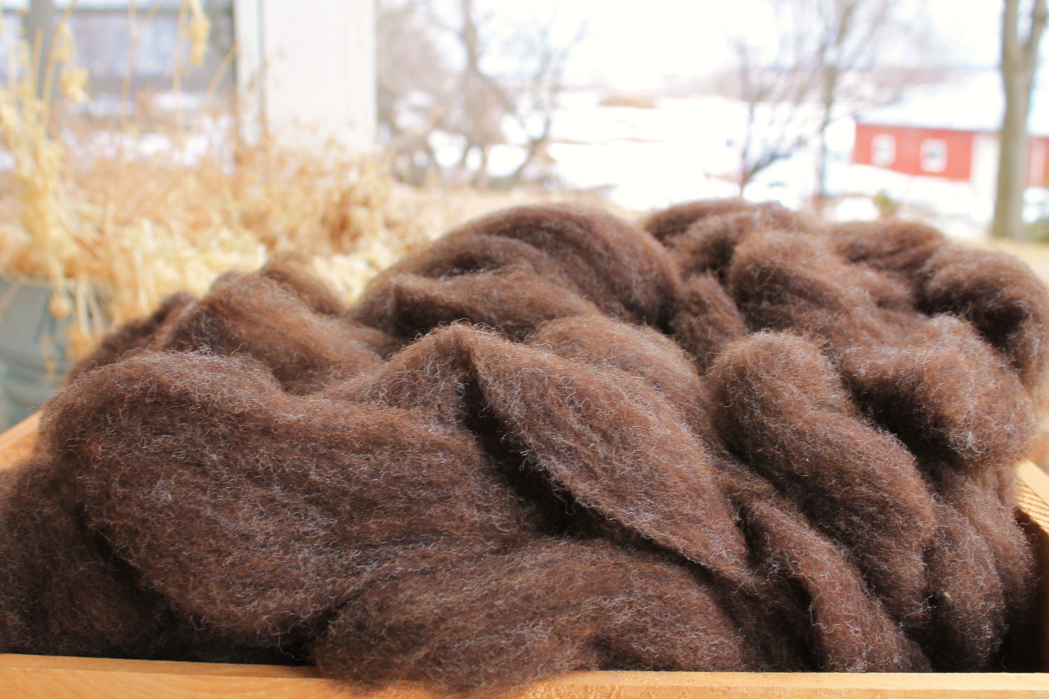 CVM-Romeldale Roving - Dark Brown/Black