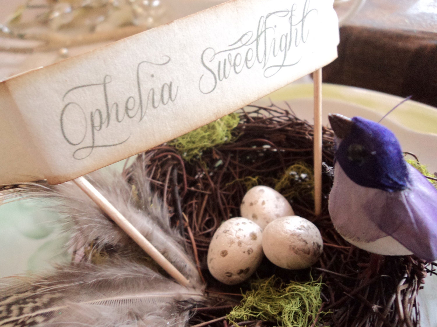 Nesting in Love.  Banner Place Cards in a Nest with Birds, Feathers and Moss, 12