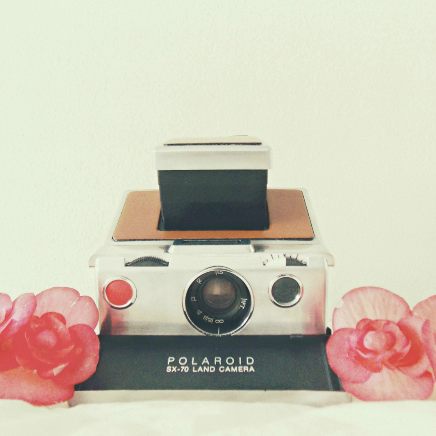 SX 70 Forever Photograph
