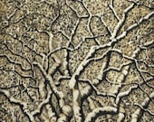Original Hand Pulled Fine Art Woodblock Print - Tree No. 23 - Brown OOAK Limited Edition Reduction Moku Hanga Print
