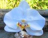 Orchid Flower Hair Clip-SIMPLY WHITE-Bridal Hair Flower, Floral Flower Hair Clip, Weddings, Beach Weddings, Tropical Destination Weddings