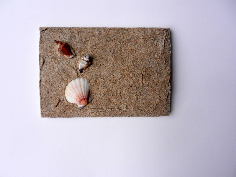 Beach Sand and shells art / wood wall hanging / beach art / beach sand art / beach cottage decor / summertime