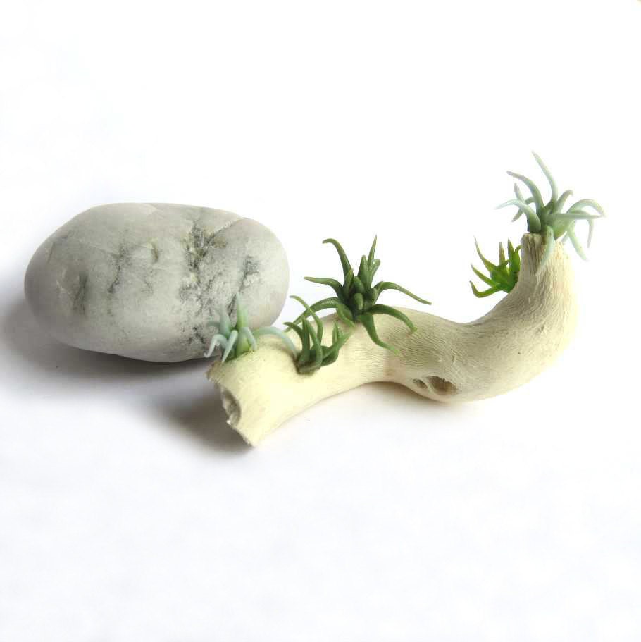 Dollhouse Tillandsia air plant faux in 1/12 scale