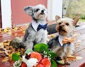 Custom Wedding Dog Collar- shirt and bow tie collar-wedding pet accessory