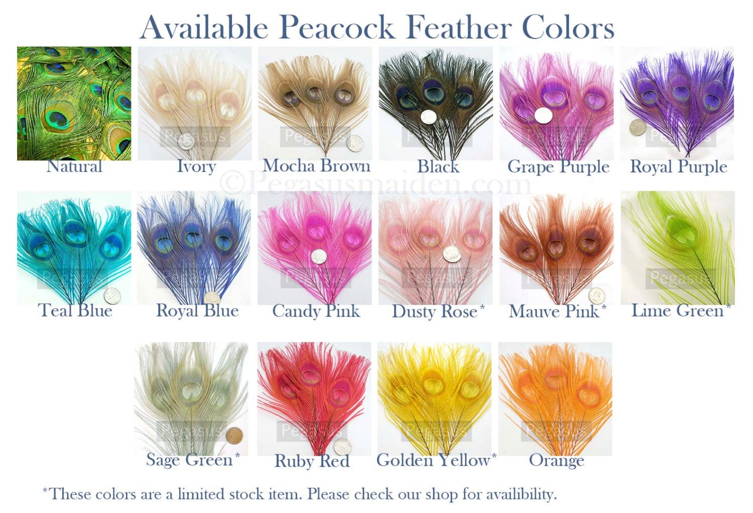 IVORY Peacock Feather Eyes. Pristine D.I.Y. feathers for fascinators, wedding invitations, bouquets and millinery (Small)(6 Feathers)