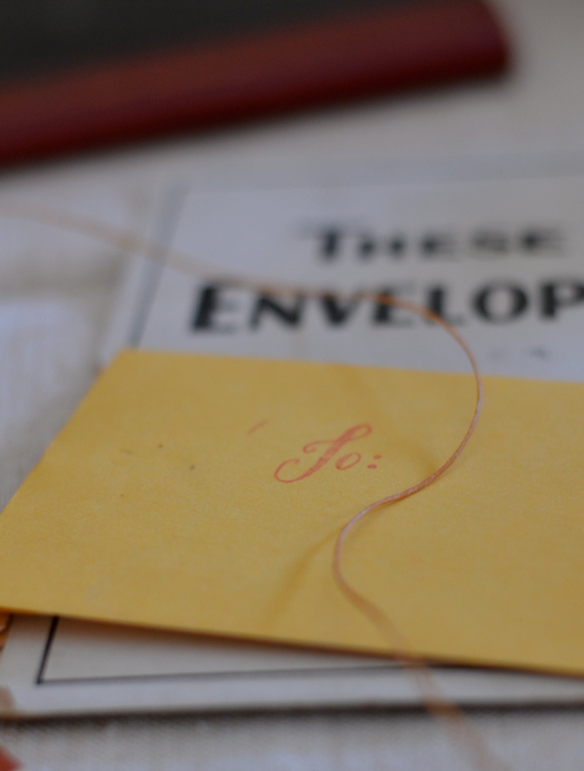 Vintage Champion Clasp Envelopes (No. 5)