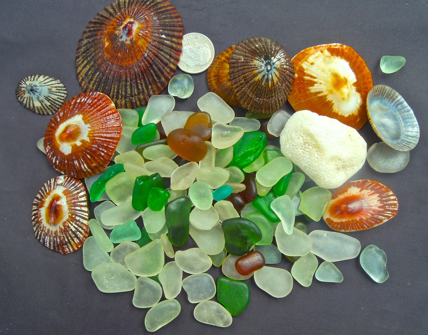 Beach Glass or Sea Glass of HAWAII'S beaches SEAGLASS Shells, coral, milk glass SALE 22 in my Etsy shop, SeaGlassFromHawaii