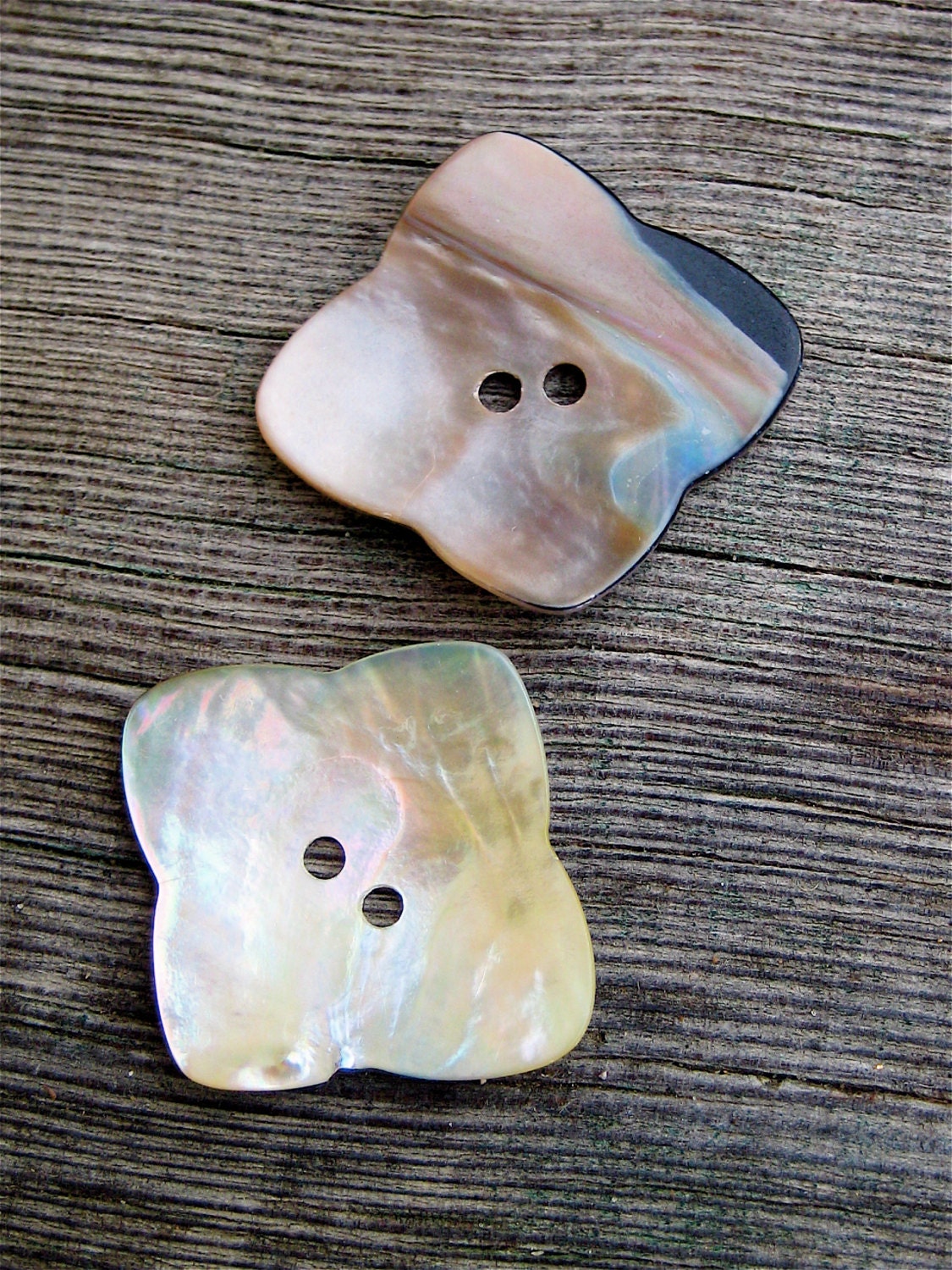 Vintage Abalone Buttons, Large Scalloped Squares