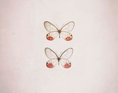 Pink Butterfly Nature Art - Pastel wall decor - two glasswing butterflies - neutral garden print for Mothers Day - Raceytay