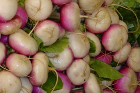 Turnip, Organic Purple Top White Globe Turnip Seeds - Heirloom Home Garden Favorite