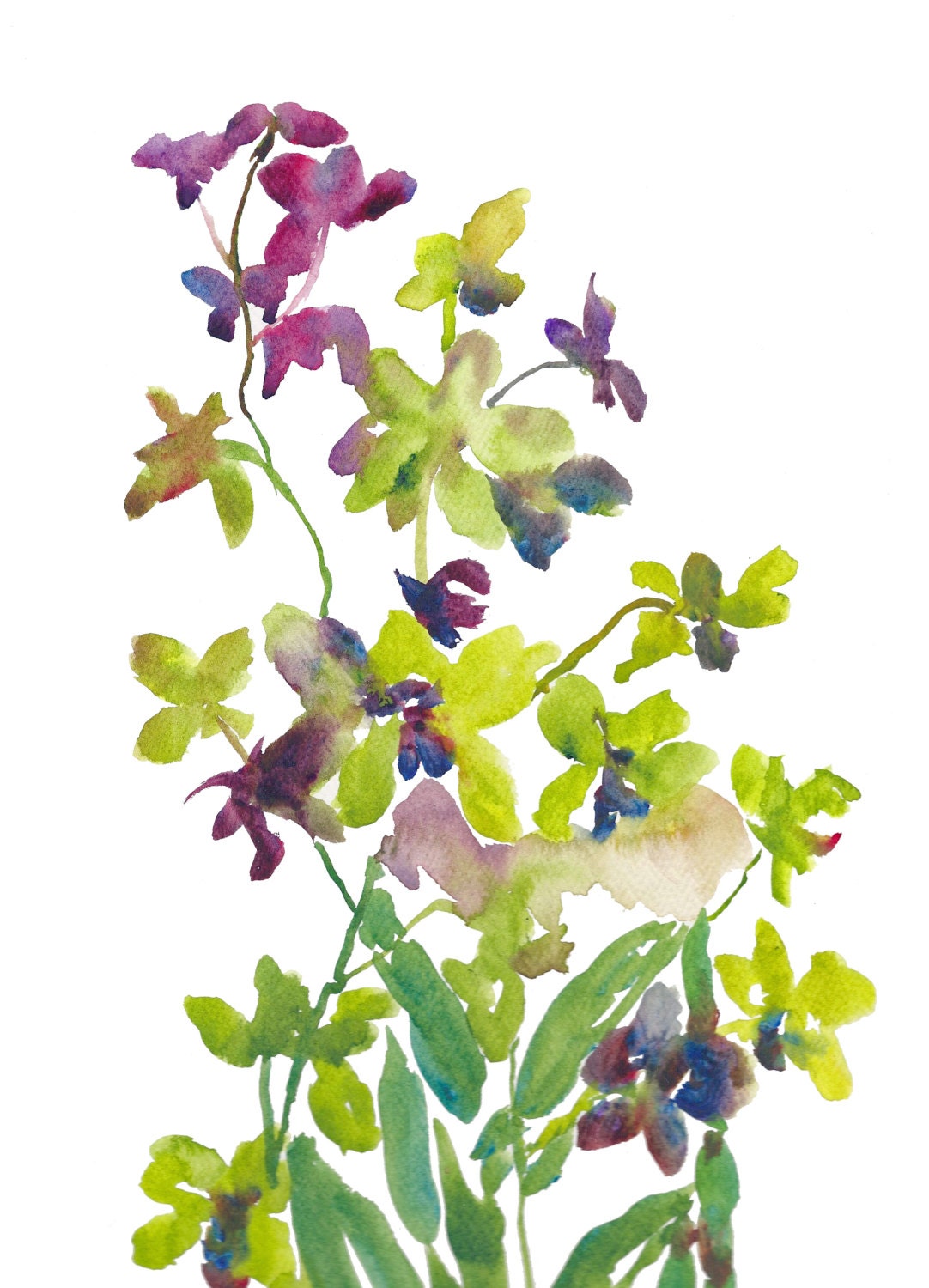 Orchids Watercolor, Print  8x10, Watercolor Flowers