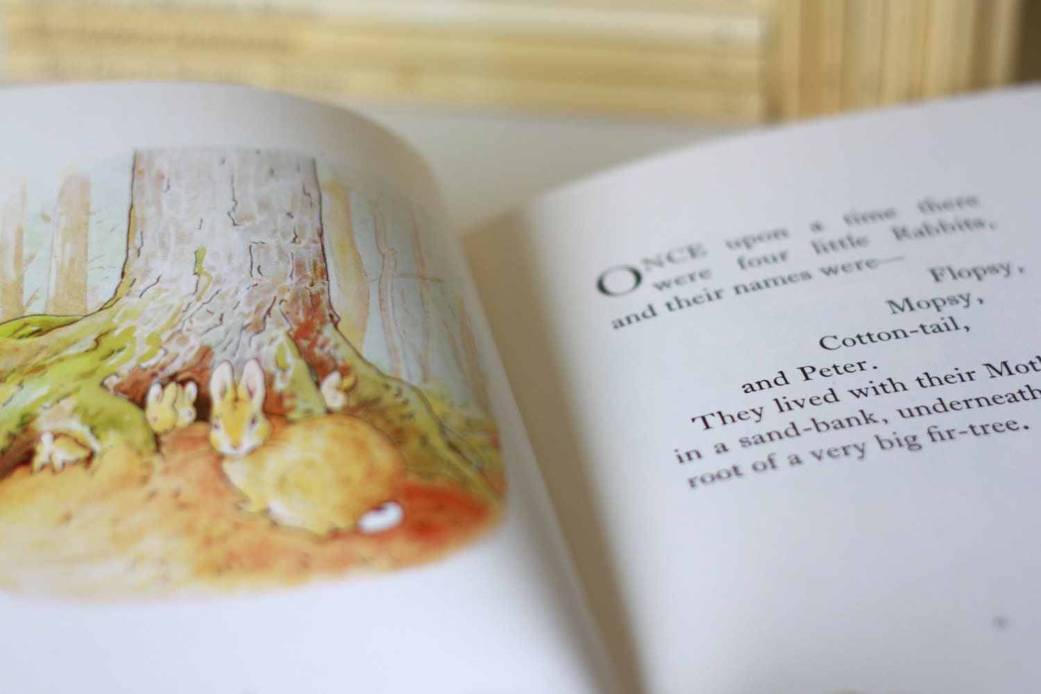 Set of 12 Beatrix Potter Children's Books - Peter Rabbit