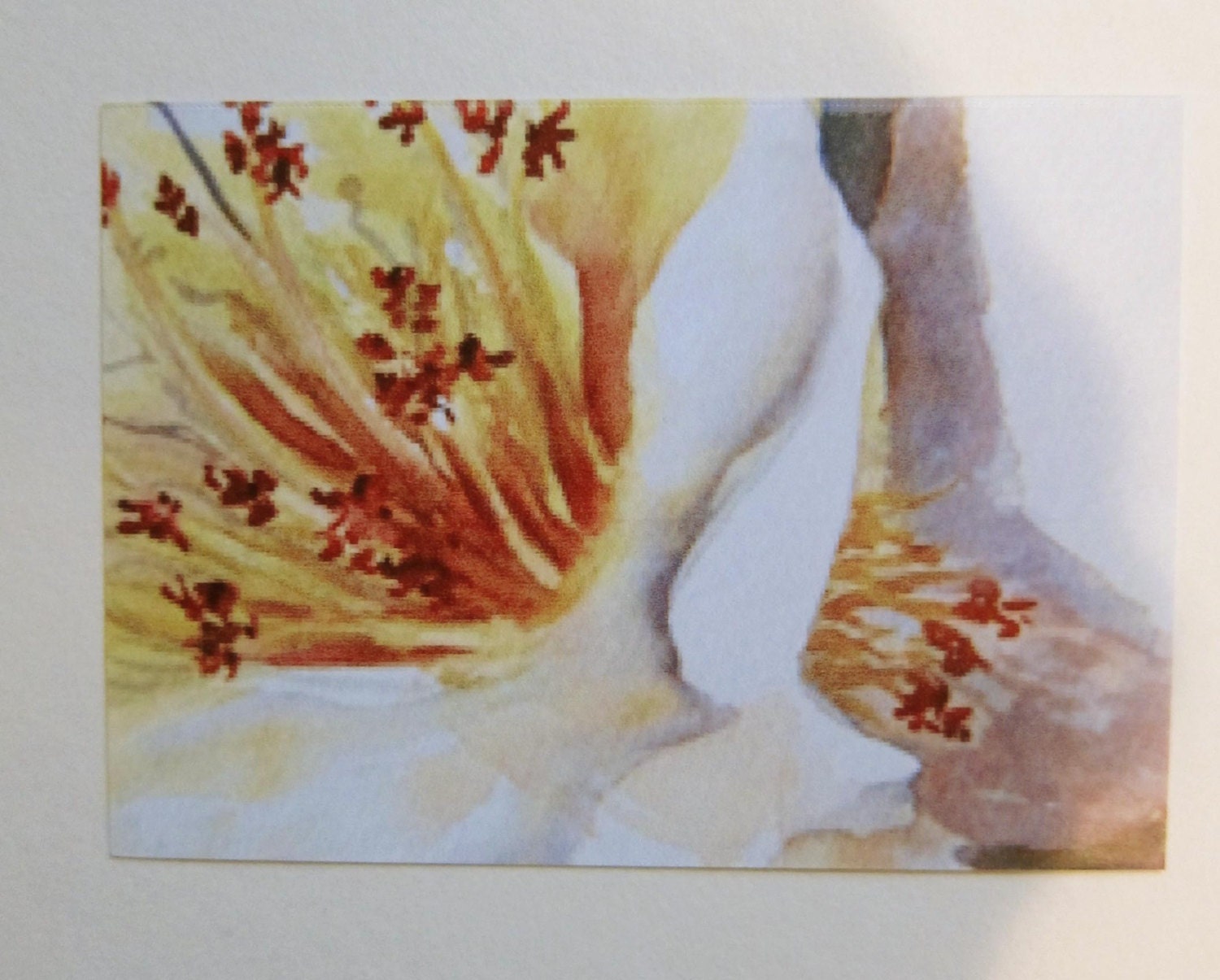 Camellia close up watercolor print ACEO 357